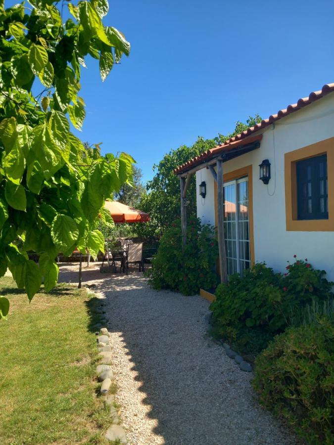 O Ninho Do Rei Lejlighed Vila de Rei Eksteriør billede